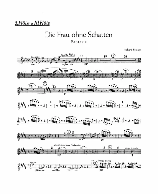 Flute 3 (also Piccolo)