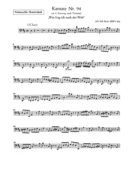 Cellos/Basses