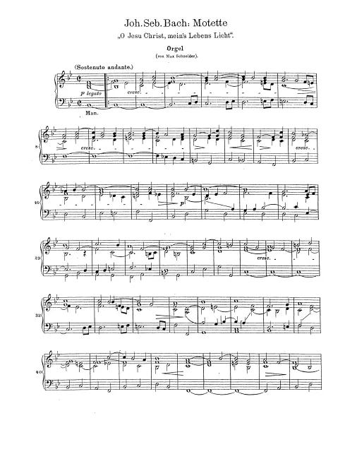 Organ