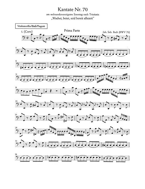 Continuo (Cellos/Basses/Bassoon)