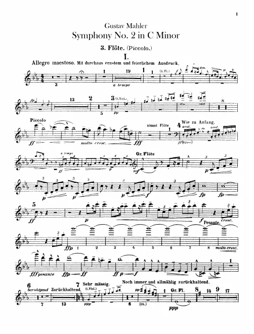 Flute 3/Piccolo 1