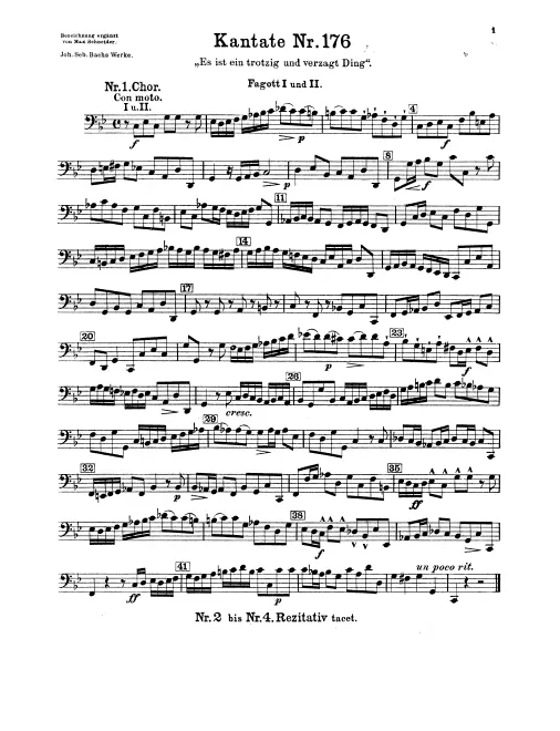 Bassoon 1/2