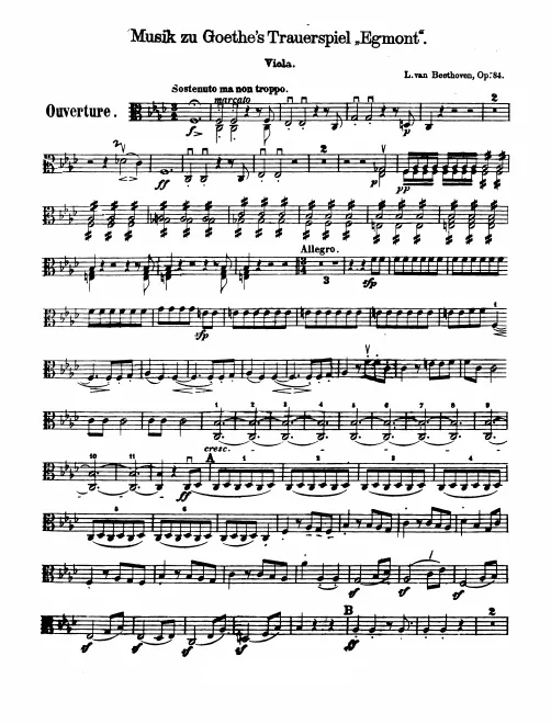 Violas