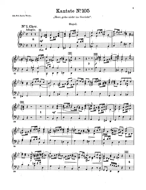 Organ