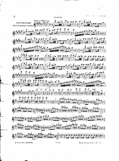 Flute, Piccolo