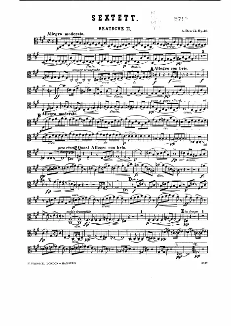 Viola 2