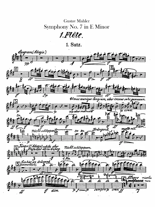 Flute 1