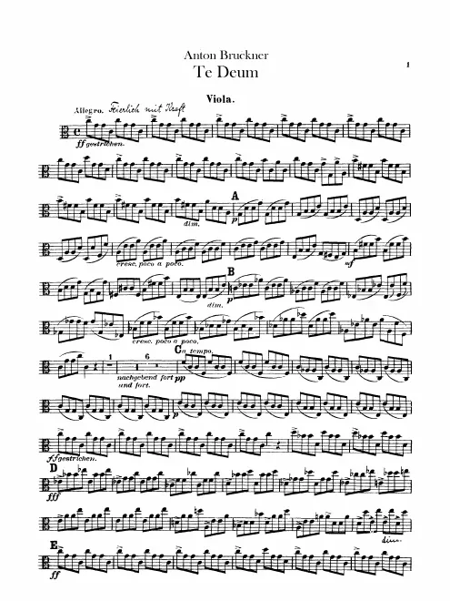 Violas