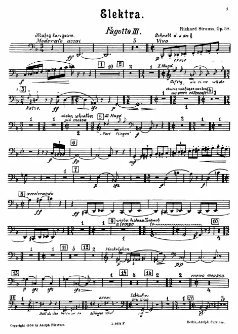 Bassoon 3