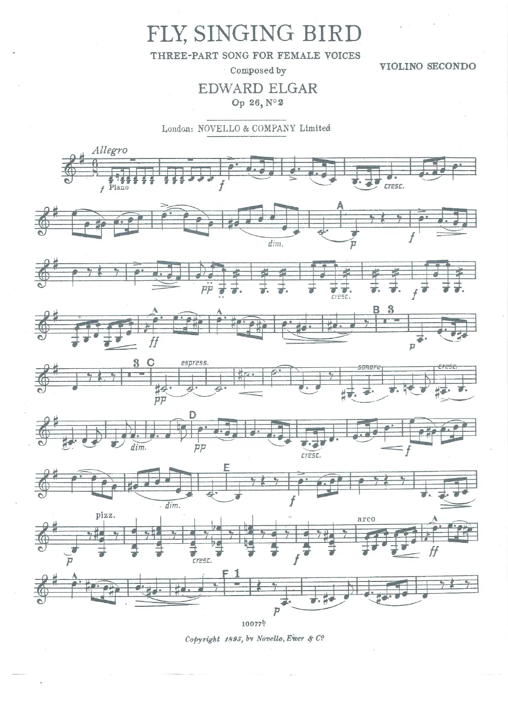 Violin 2