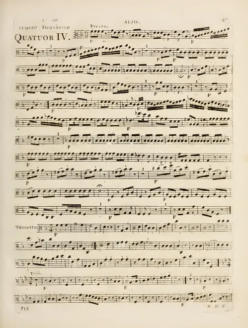 Viola