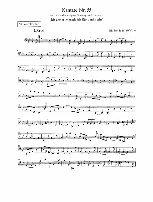 Cellos/Basses