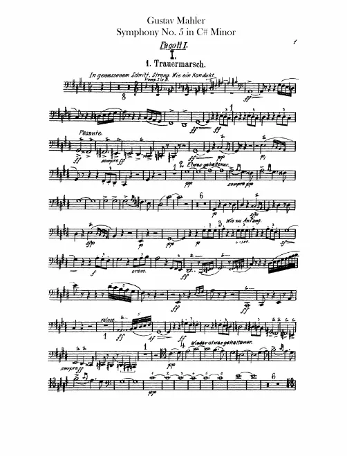 Bassoon 1