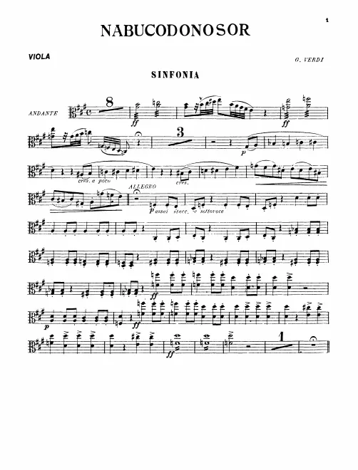 Violas