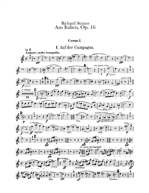 Horn 1 (F/A)