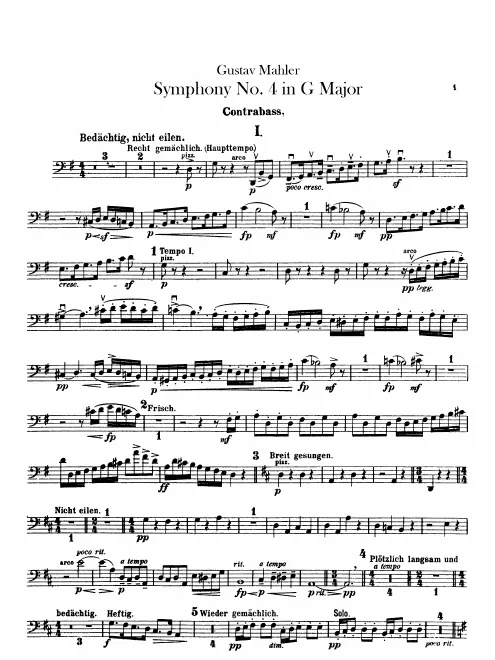 Basses
