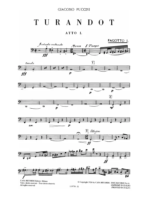 Bassoon 1
