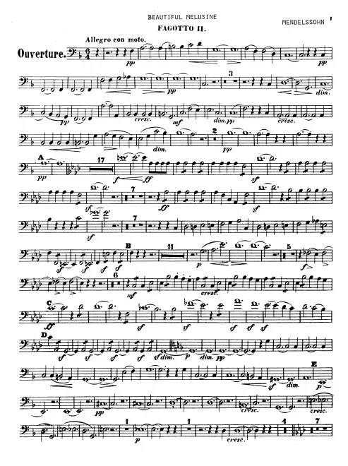 Bassoon 2