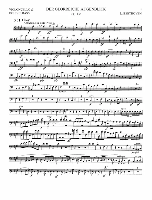 Cellos/Basses
