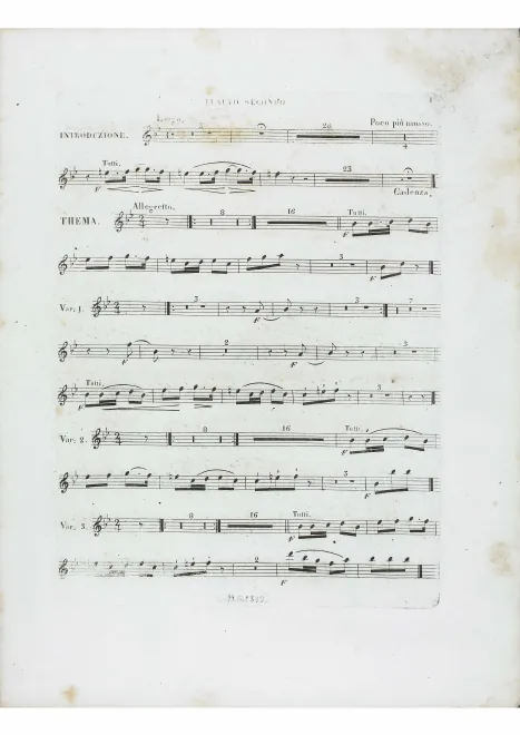 Flute 2