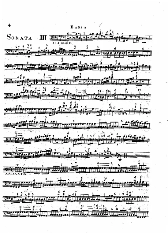 Cello