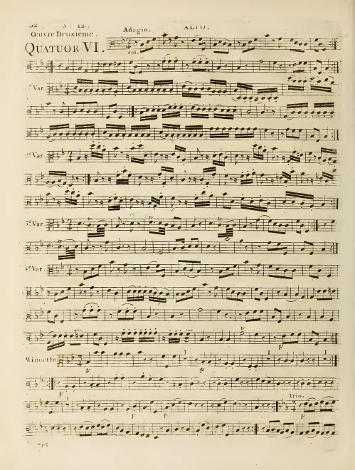 Viola