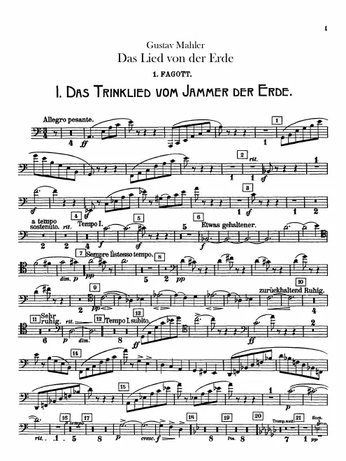 Bassoon 1