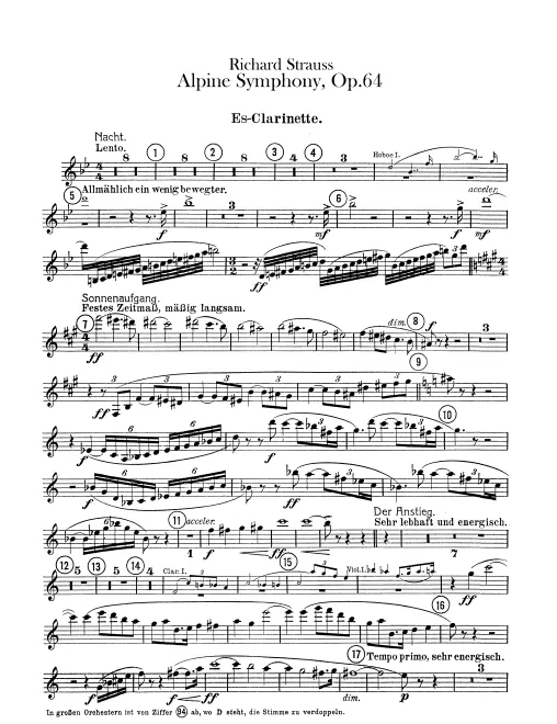Piccolo Clarinet (E)