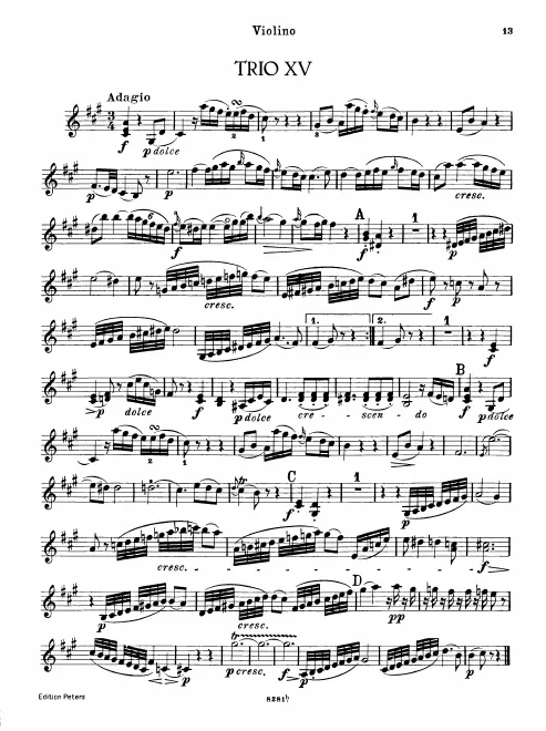 Violin