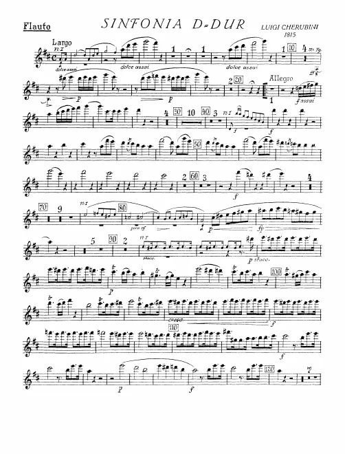 Flute
