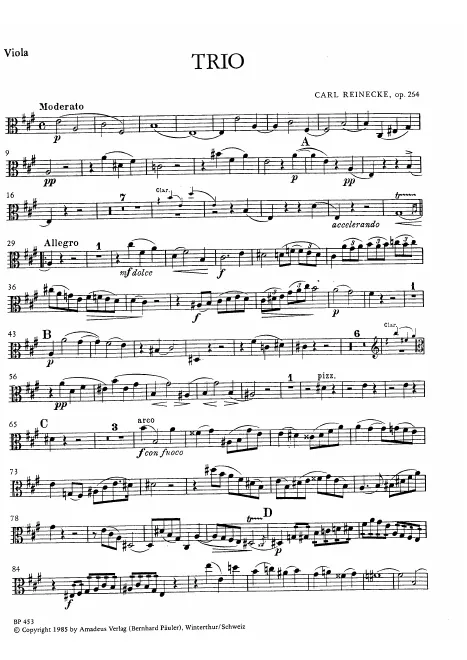 Viola
