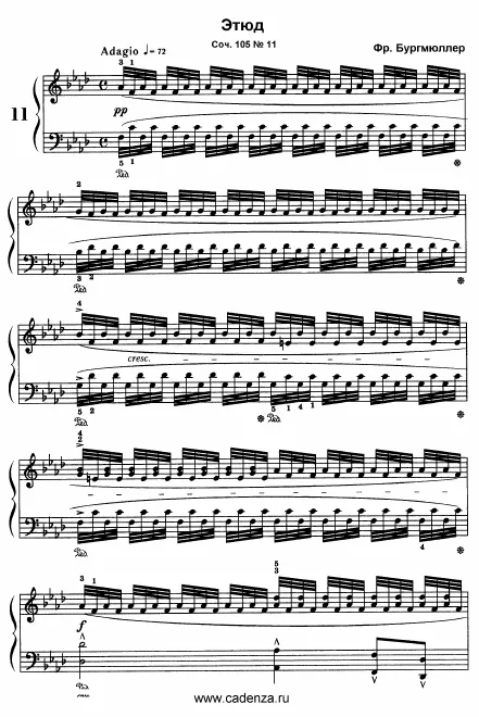 11. Harpe du nord