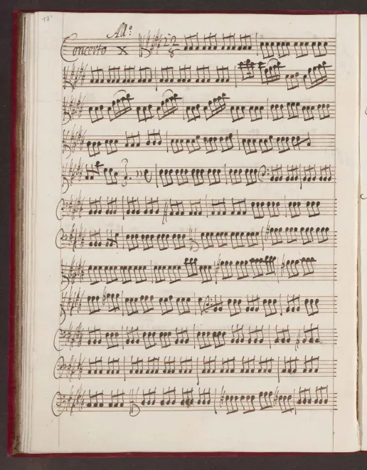 Violas