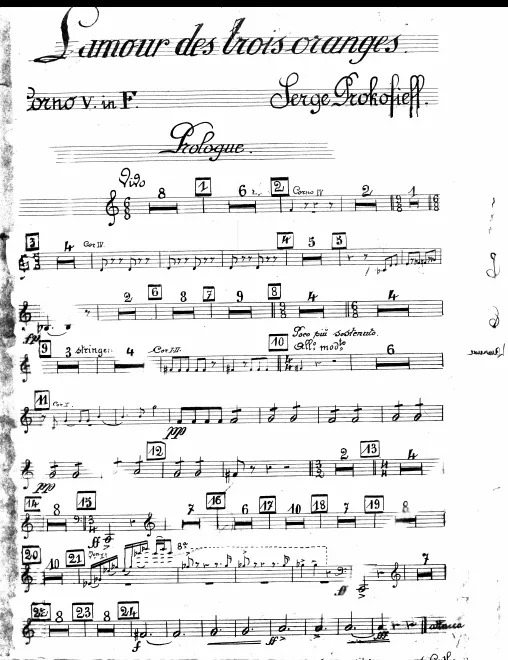 Horn 5 (F)