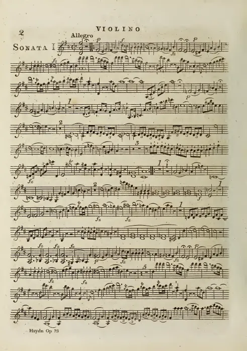 Violin