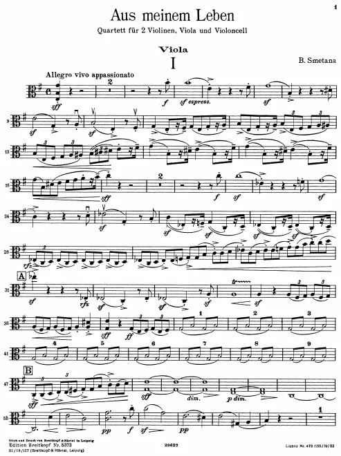 Viola