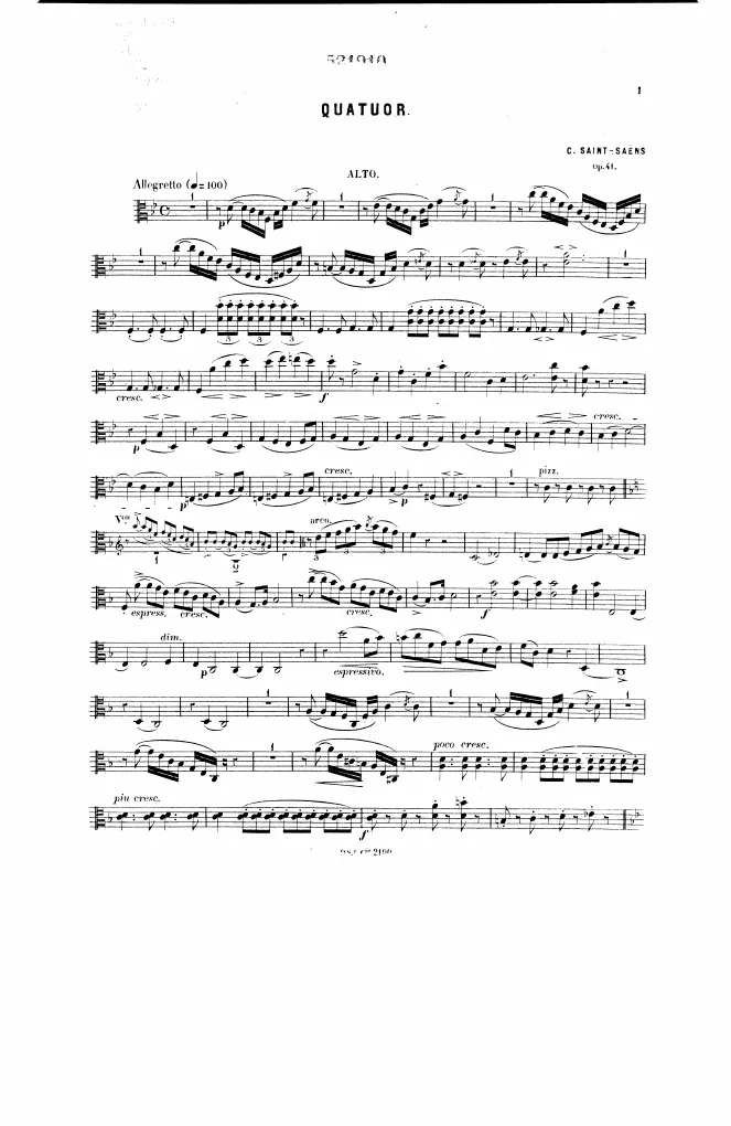 Viola
