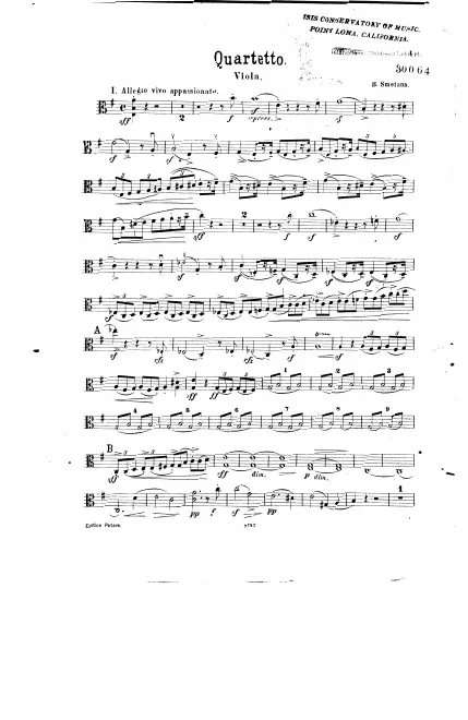 Viola
