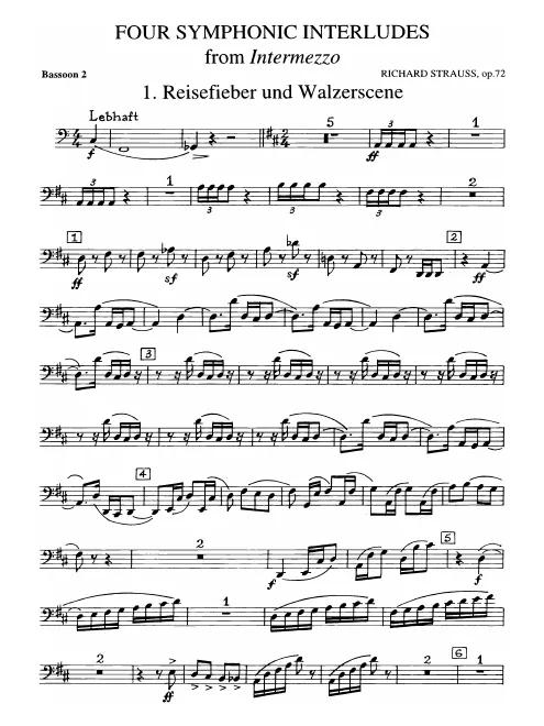 Bassoon 2
