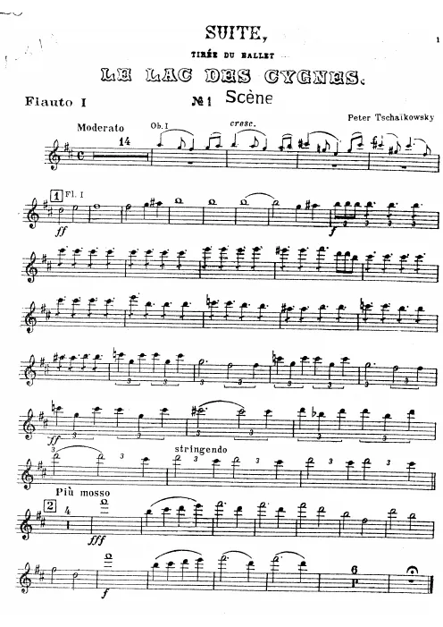 Flute 1