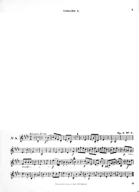 Violin 2