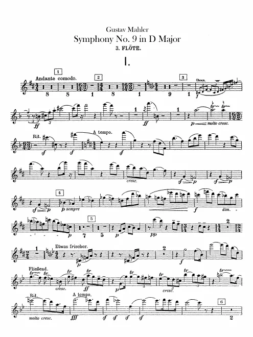 Flute 3