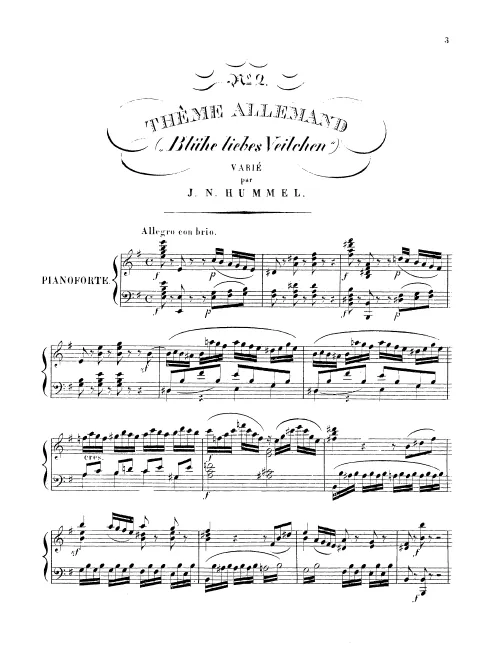 2. Thème allemand