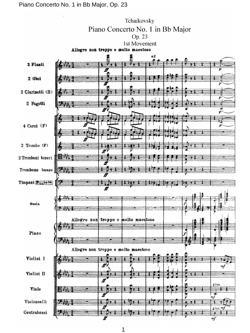 1. Allegro non troppo e molto maestoso [part 1]