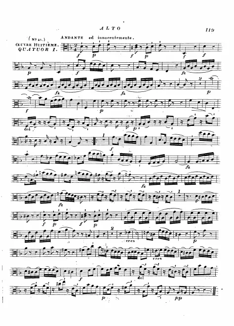 Viola