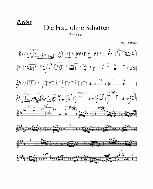 Flute 2