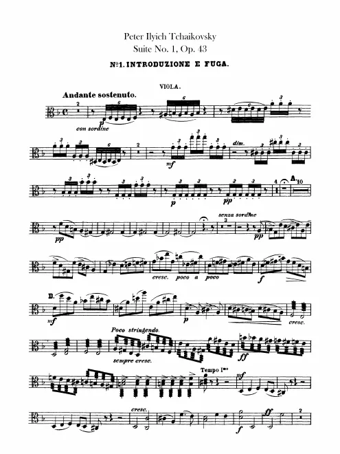 Violas