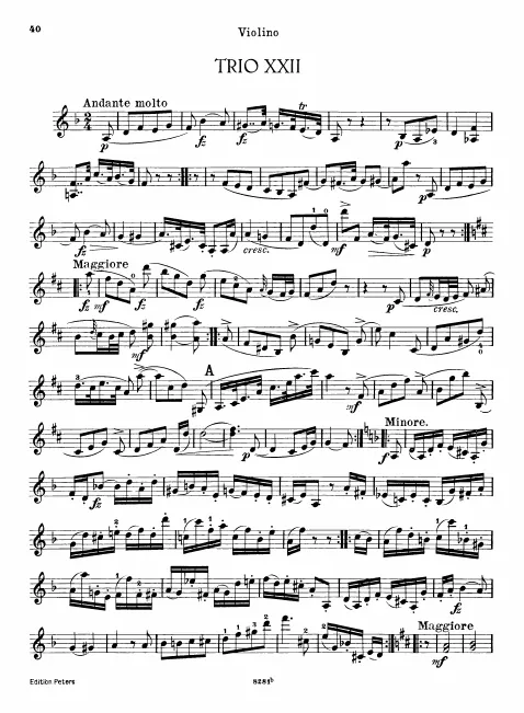 Violin