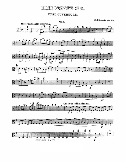 Violas