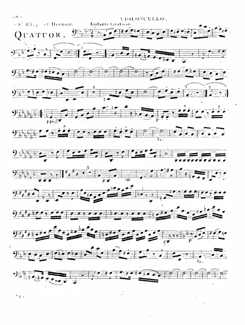 Cello